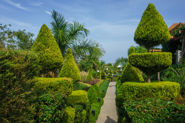Lush Green Topiary Trees Line a Serene Pathway in a Tranquil Garden Oasis on a Sunny Afternoon