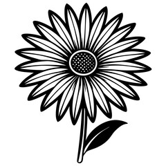 white flower isolated on black