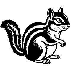 black and white squirrel