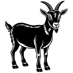 goat on a white background