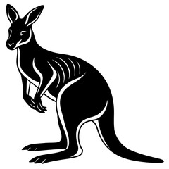 kangaroo vector illustration