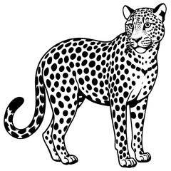 leopard vector illustration