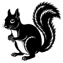 squirrel with nut