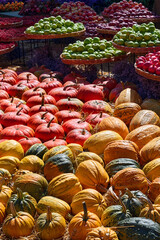 Many large ripe pumpkins of different varieties, green and red apples lie in the open air.