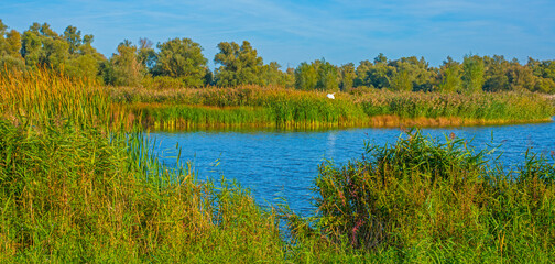 The edge of a lake in a sunny autumn,  Almere, Flevoland, The Netherlands, October 15, 2024