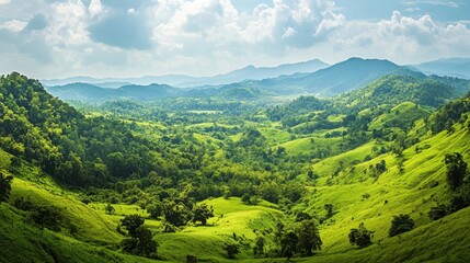 Fototapeta premium A panoramic view of the lush green hills of Thailands northern regions, with intricate tree details.