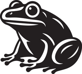 frog on white background