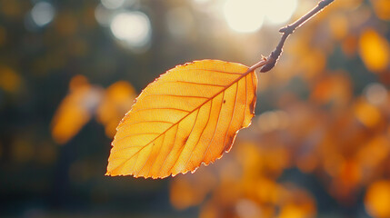 Obraz premium A close-up view of a vibrant yellow autumn leaf, showcasing its intricate veins and textures. The leaf stands out against a backdrop of bright orange trees, with the warm tones creating a stunning
