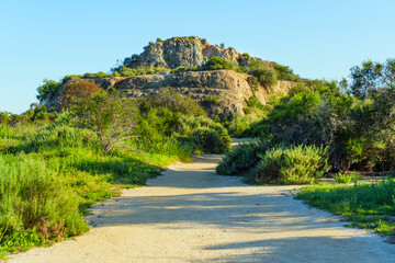 Scenic Trail Leading to Hilltop in Runyon Canyon Park