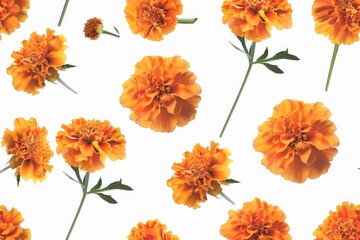 A close-up shot of a bunch of vibrant orange flowers arranged on a clean white surface