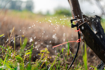 Naklejka premium A close-up of a small sprinkler head releasing water to irrigate plants, demonstrating a non-energy system using water flow independent of gravity