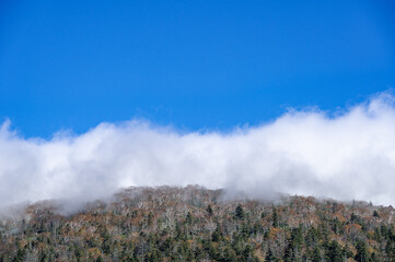 北海道・日勝峠、紅葉する山と雲海