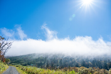北海道・日勝峠、紅葉する山と雲海