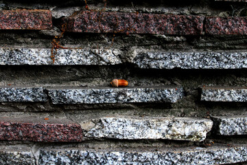 texture, wall, grunge, old, dirty, concrete, rough, paint, surface, aged, pattern, cement, stone, textured, backdrop, grungy, brown, paper, vintage, material, plaster, weathered, gray, detail, design