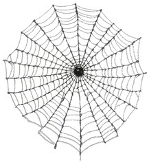 Obraz premium Intricate spiderweb made of beads with a black center