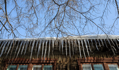 View from bottom to row of spring icicles hanging down from snow covered roof of old wooden house.