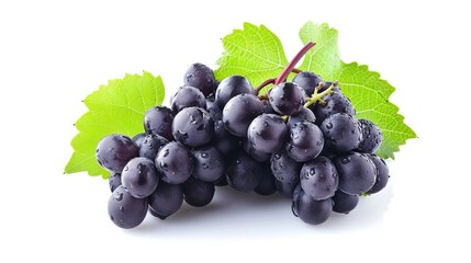 Fototapeta premium Succulent Black Grapes Celebrated in Captivating Isolation on a Crisp White Canvas --