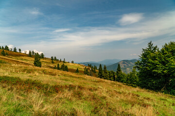 Obraz premium On the tourist trail.