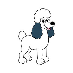 funny poodle dog vector Illustration