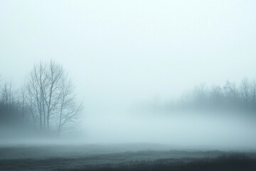 White Fog Background in Nature