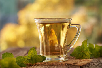 A cup of herbal tea with fresh melissa or lemon balm plant on a table