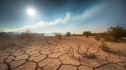 dry desert landscape under blazing sun showcases cracked earth and sparse vegetation, highlighting harsh conditions of intense heatwave