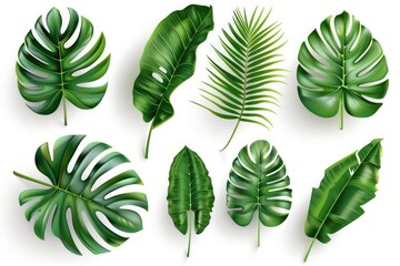 Fototapeta premium Set of tropical leaves on white background. Banner design