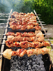 Meat skewers on the grill