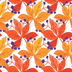 Vector - virginia creeper with berries seamless pattern.