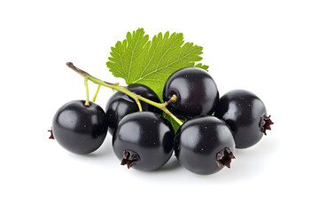Black currant berry isolated on white background