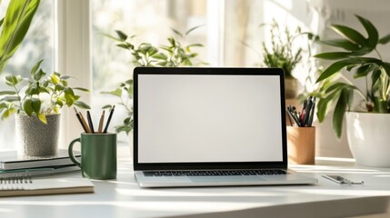 Fototapeta premium Laptop on a White Desk with Plants