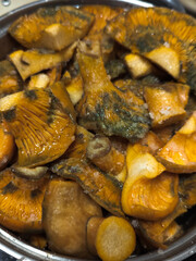 Picked saffron mushrooms are prepared for cooking.