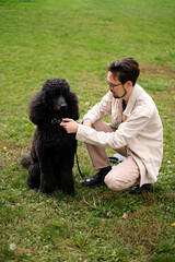Young man on the park lawn playing with a royal black poodle