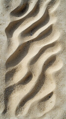 Obraz premium Close-up of Sand Patterns Sculpted by Wind on a Beach - Textured Natural Landscape