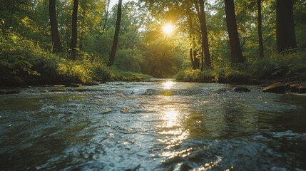 Obraz premium Sunset over a peaceful forest stream with golden light reflecting on the water, surrounded by lush green trees and creating a serene, natural atmosphere