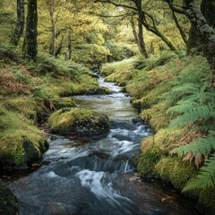 Obraz premium A serene and peaceful scene of a stream running through a lush green forest, perfect for nature-themed projects