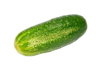 Green cucumber pickle in PNG isolated on transparent background
