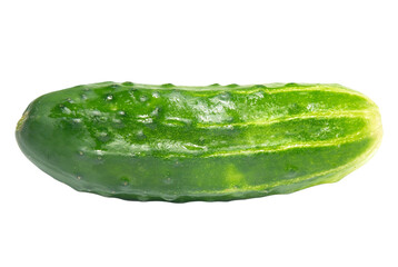 Green cucumber pickle in PNG isolated on transparent background