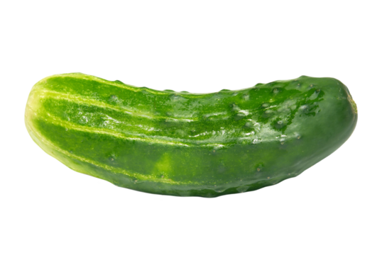 Green cucumber pickle in PNG isolated on transparent background
