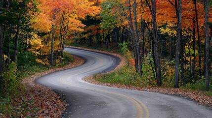 Obraz premium Winding asphalt road through colorful autumn forest.