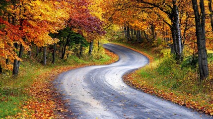 Naklejka premium Winding country road through a forest with vibrant autumn foliage.
