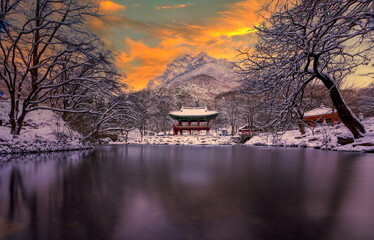 Obraz premium Baekyangsa Temple Snow Season Festival Naejangsan Park in South Korea. 