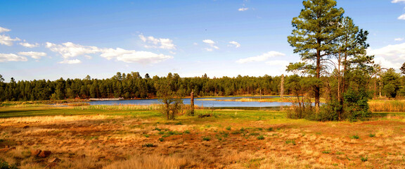 Lake of the Woods Arizona
