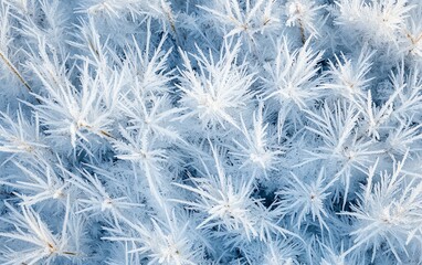 Stunning closeup of a frosty meadow featuring intricate ice crystals enveloping blades of grass, highlighting natures resilience in a minimalist winter scene