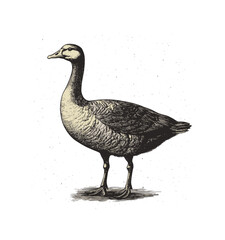 透明な背景に刻まれたガチョウのビンテージ スタイル ベクトル PNG イラスト、自然をテーマにしたデザイン、野生動物アート、ビンテージ装飾に最適です。