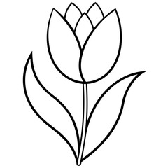 black and white tulip