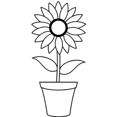 sunflower in a pot vector