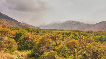 This image captures the autumn beauty of Patagonia near El Chaltén, with vibrant foliage covering the hillsides and distant misty mountains under a dramatic sky.