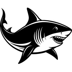 shark isolated on white