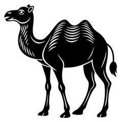 Fototapeta premium camel illustration